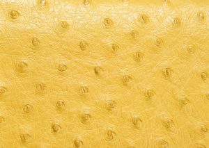 Comparison of Different Tanning Methods on Ostrich Leather and skin