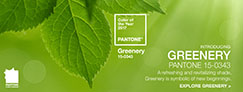 رنگ سال 2017 – 1396 شرکت پنتون – سبز