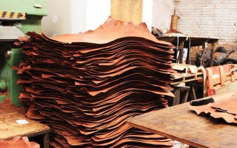 (The first step of leather tanning (skin