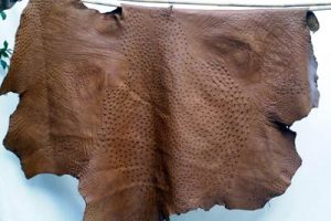 Comparison of Different Tanning Methods on Ostrich Leather and skin