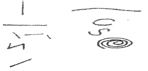 Esempi di linee nel disegno dei prodotti in pelle