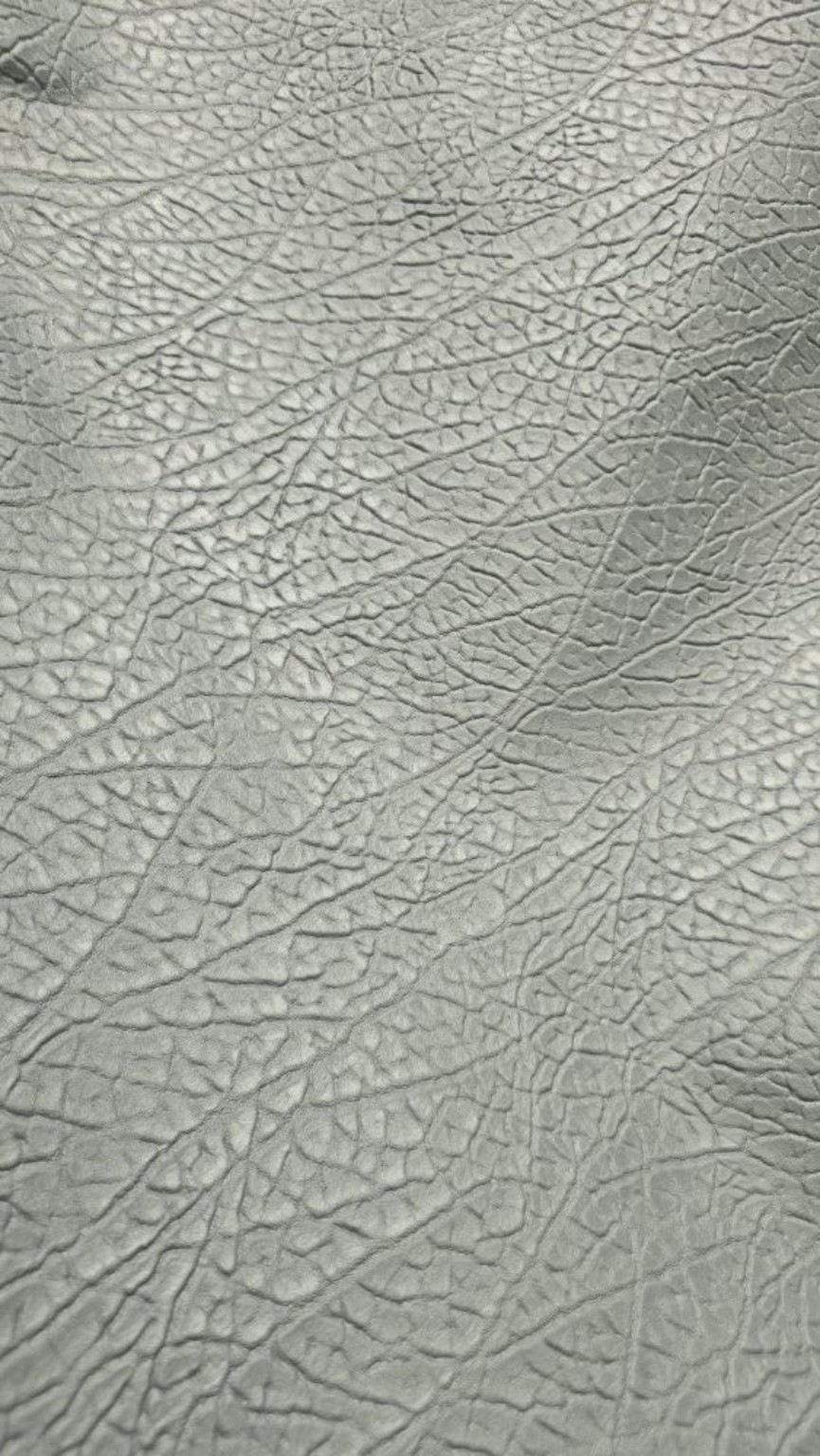Elephant Emboss natural leather sample by Dalir Leather